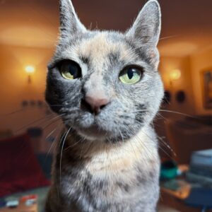 Lucy